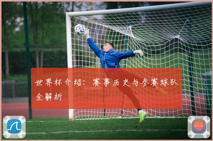 世界杯介绍:赛事历史与参赛球队全解析