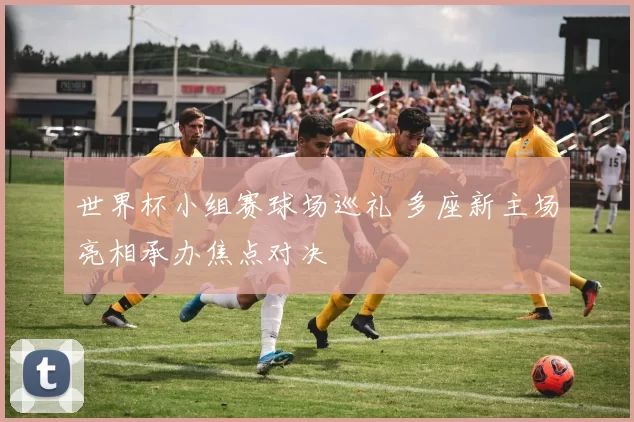 世界杯小组赛球场巡礼 多座新主场亮相承办焦点对决