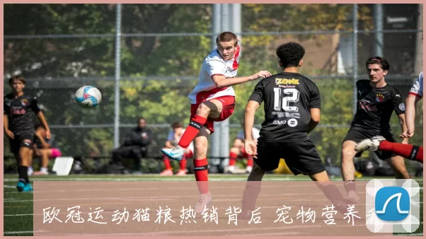 欧冠运动猫粮热销背后 宠物营养升级带动足球主题粮市场扩容