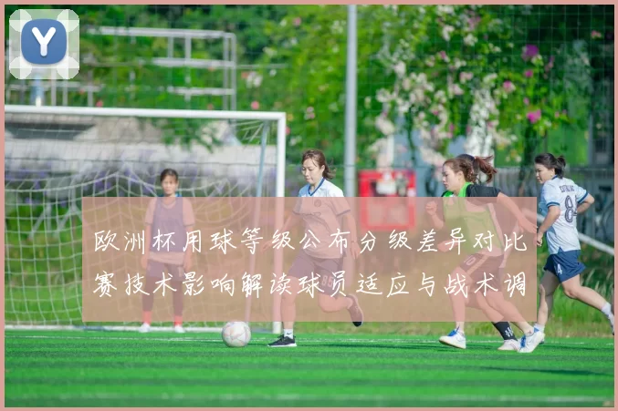 欧洲杯用球等级公布分级差异对比赛技术影响解读球员适应与战术调整看点
