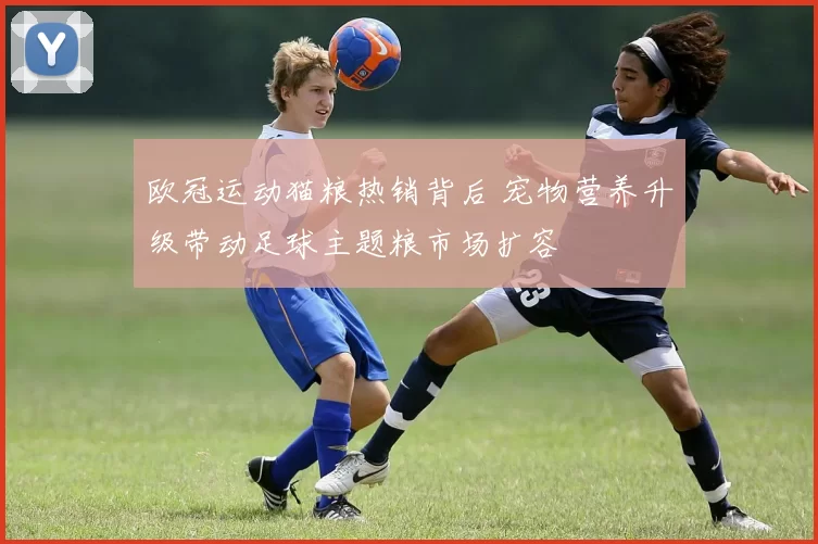 欧冠运动猫粮热销背后 宠物营养升级带动足球主题粮市场扩容