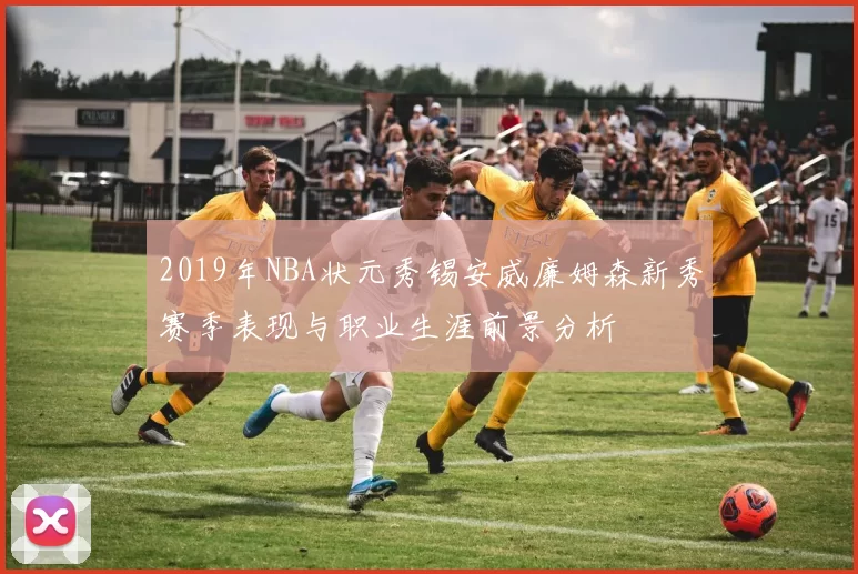 2019年NBA状元秀锡安威廉姆森新秀赛季表现与职业生涯前景分析
